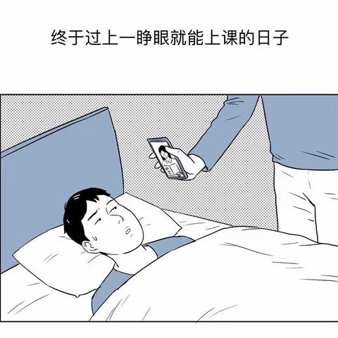 菲比“主播们”背后的秘密