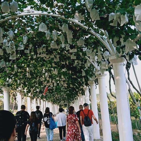 老关庙(玉泉亍)的美篇一一烟台张裕葡萄酒庄