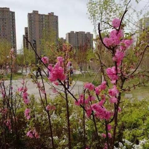 记清明节日