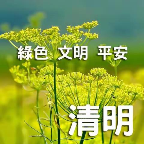 “文明祭祀 绿色清明节”倡议书