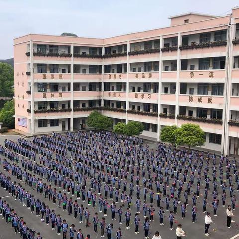 枫岭头小学第二十周工作汇要（6月19日 —6月21日）