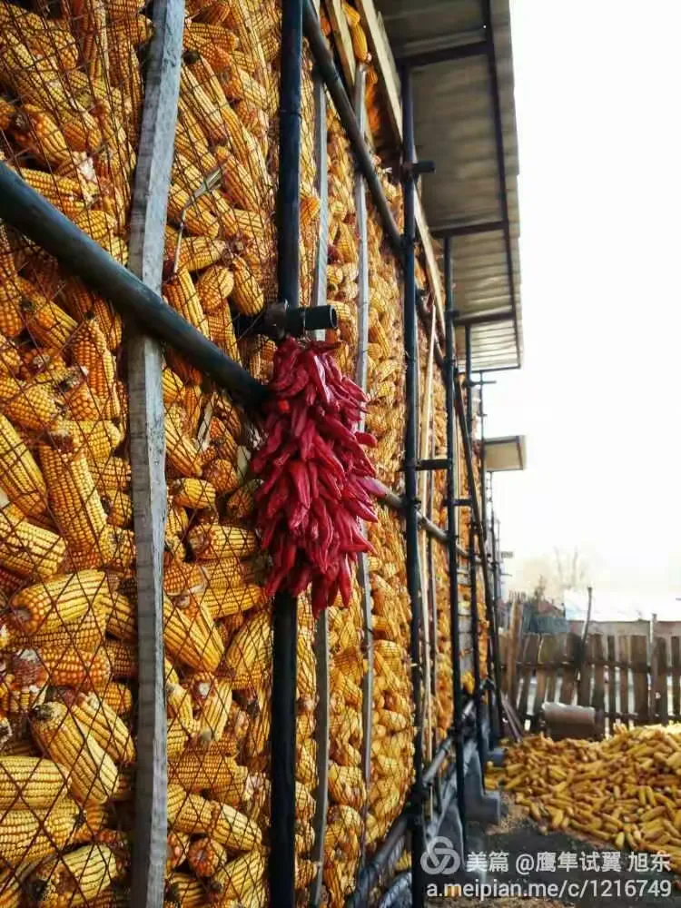 庄稼院里难忘的幸福生活