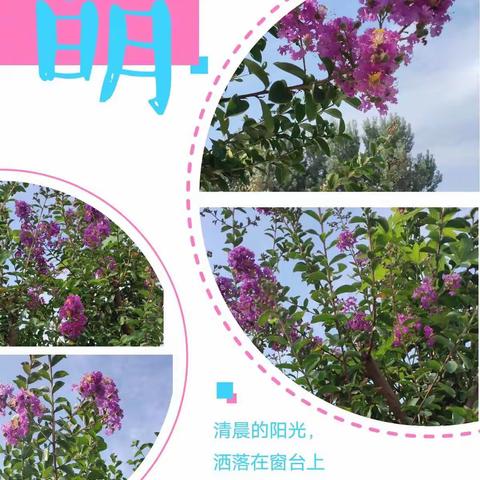 “与爱牵手，陪伴成长”——海子幼儿园苗苗班快乐的一周！