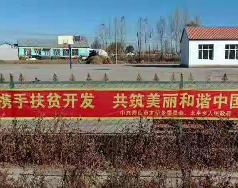 太平乡开展“扶贫日”志愿服务活动