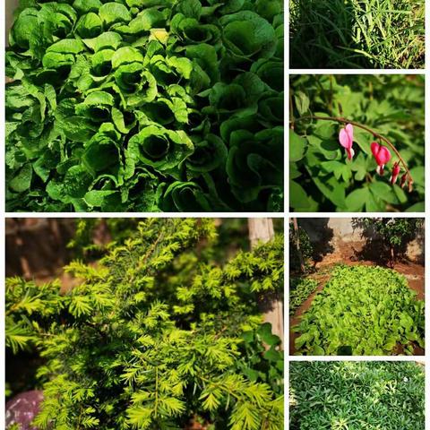 我劳动，我快乐