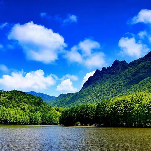 水清池浅   风轻云淡