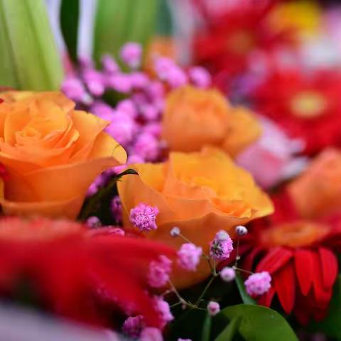 用智慧领航，让人生精彩不断——老师们，教师节快乐！