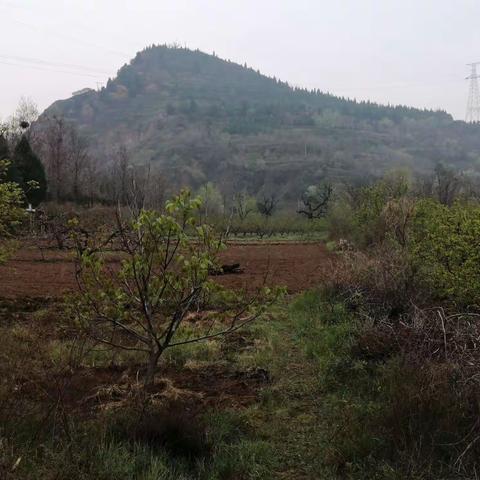 小皓翰留村行，2021.4.5    昨日清明，             行全立