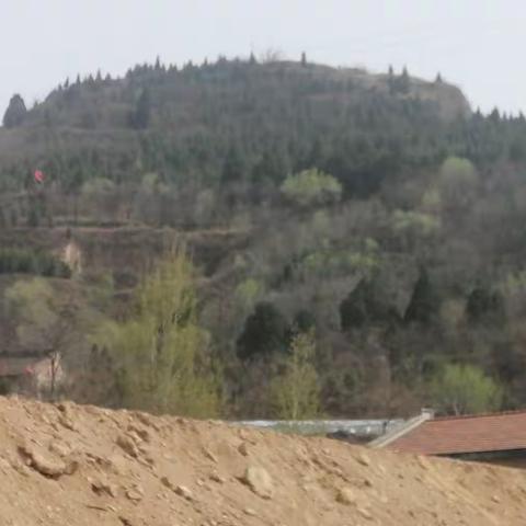 巍巍青山    母爱如天，    马仙敏老人葬礼奠章，2021.3.28   辛丑.二.十八