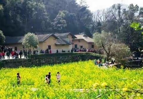 磊     子的美篇