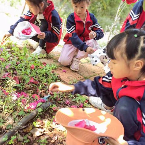 "爱在春天，乐在自然"——金太阳幼儿园大一班集体春游美篇