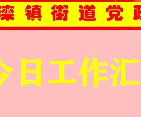 【滦镇街道党政办】2019年11月19日工作汇报