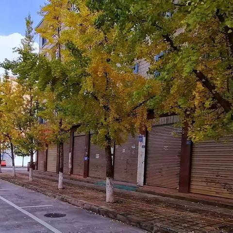 秋的街头