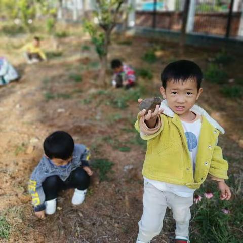 县幼小十一班第八周幼儿成长记录