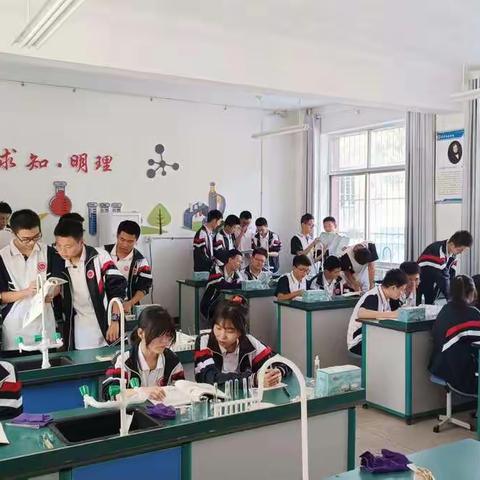 高二化学探究实验：条件对化学平衡的影响