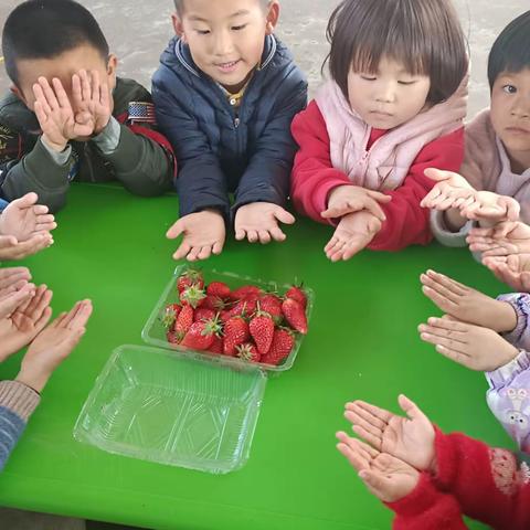 谢谢陆勉妈妈送给宝贝们的🍓🍓🙏🙏🌹🌹