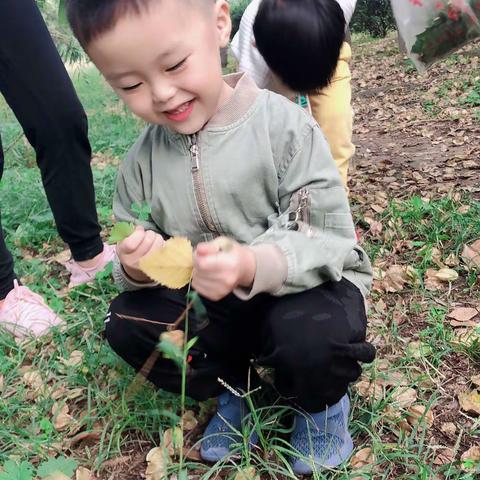 大家好我叫张明烨我是❤️心世界康业幼儿园开心班的明明