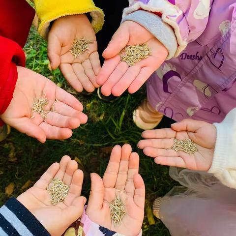 我们再次见面时，已春暖花开🌸