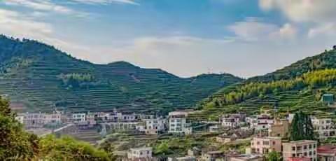 《美丽乡村.魅力莲花》摄影展入选名单