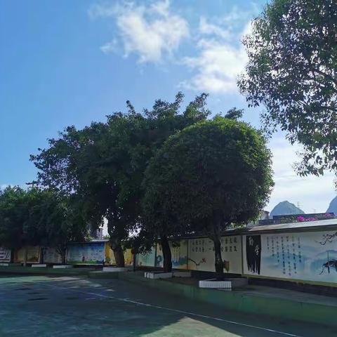 开学通知