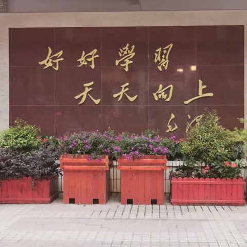 镇六小学 区第三批学生复课