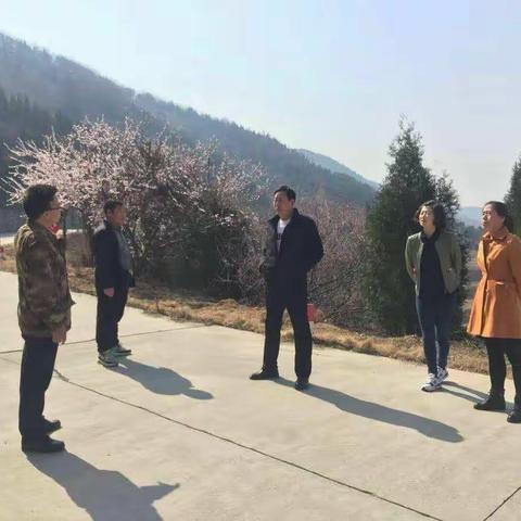市林业局党组成员、调研员冯妍平前往郊区督查森林防火工作