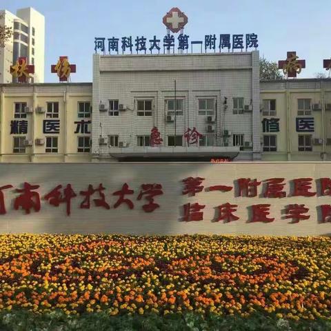 我的美篇
