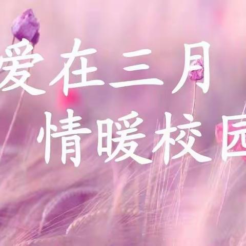 同心共筑巾帼梦  携手奋进向未来—【宁远一小第四周工作小结】
