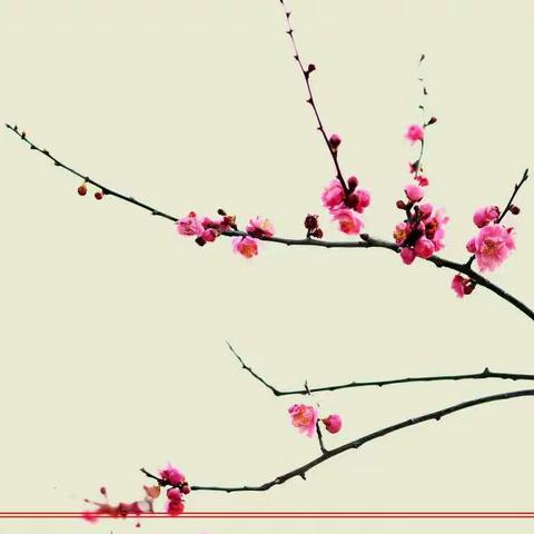 爱与责任筑师魂，师德永驻我心中——第十二小学“我为国旗添风采”教师师德师风演讲比赛