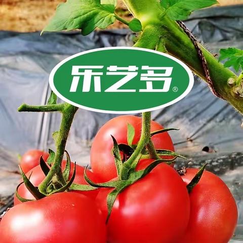 【乐艺多】 作物更茁壮，看我的！