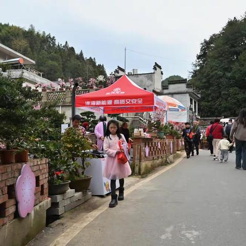 花山花海的卖花渔村