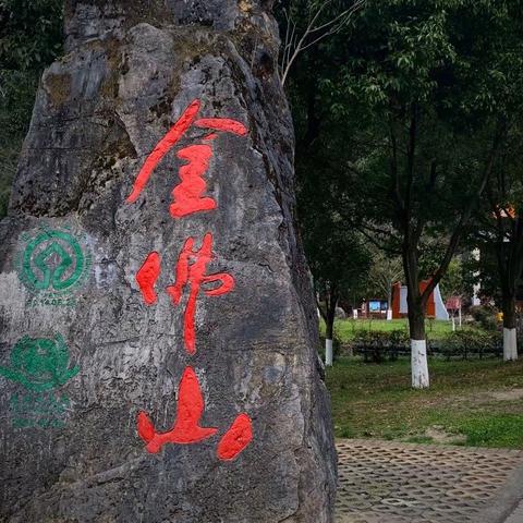 游金佛山碧潭幽谷