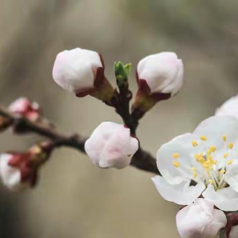 停课不停学，线上教学。Day30