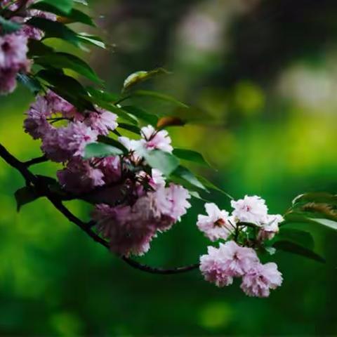 春困秋乏夏打盹