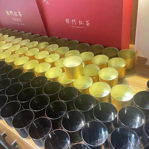 远嫁的嫂子，遇见矫情的老妈