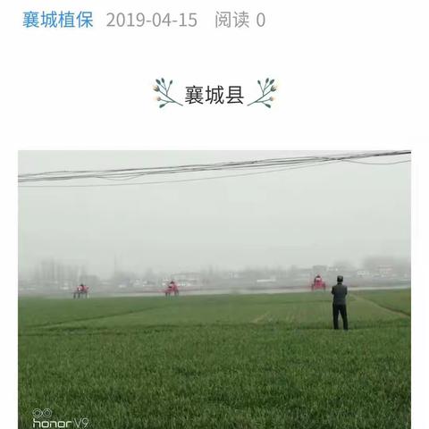 襄城植保的美篇