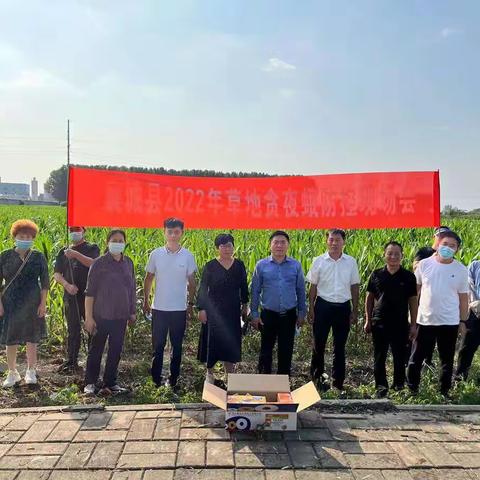襄城县积极开展草地贪夜蛾监测防控工作