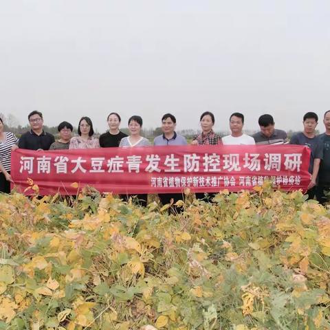 省植保专家到我县调研指导大豆症青发生防控工作