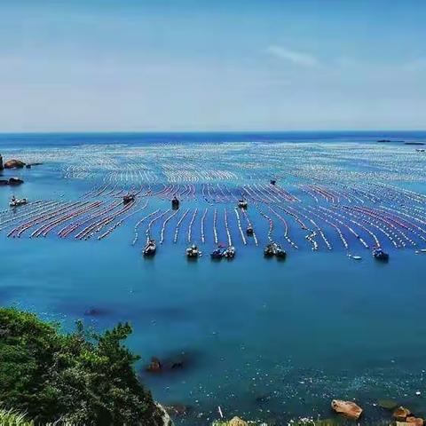 漂洋过海来看你— 徒步枸杞岛
