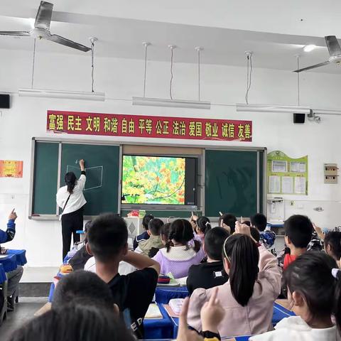 一路成长，一路修行—光山县实验中学小学部三年级语文组教研示范活动