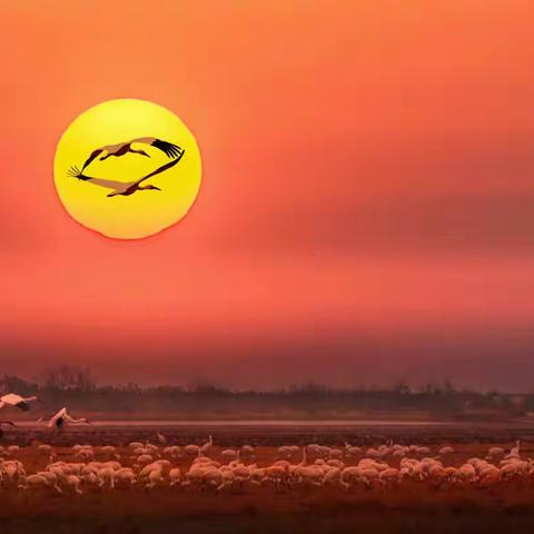 范赣源：我的2021