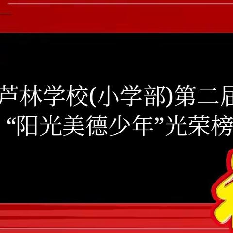 芦林学校(小学部)第二届“阳光美德少年”榜单，No.2——阳光好学少年榜