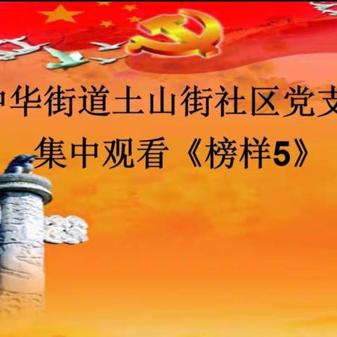 以榜样为镜 与榜样同行——中华街道土山街社区党支部观看《榜样5》