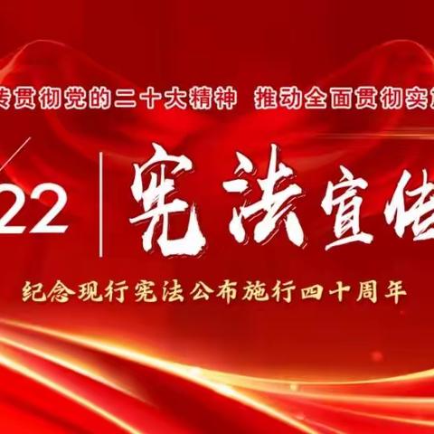 学习宣传贯彻党的二十大精神，自觉维护宪法权威——树德小学“宪法宣传周”系列活动