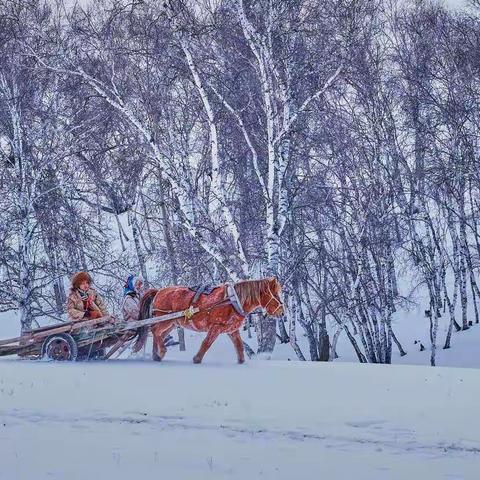 《雪乡回家浓情路》