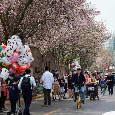 《西府海棠花满枝，幽香浮动染春衣》