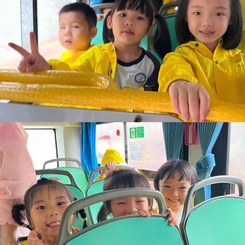 🌾秋收—稻香里说丰年—大班组割稻谷劳动实践活动