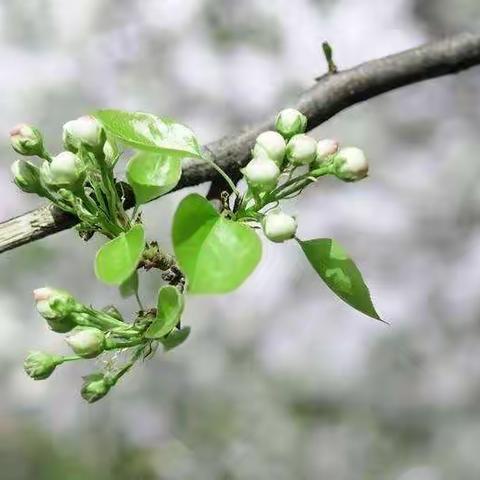 99班寒假专刊之精彩宅生活