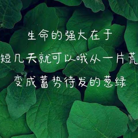 守望“幸福”