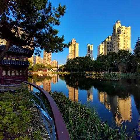 改建后的上海和平公园随拍